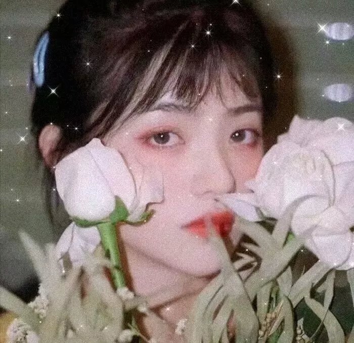 脂粉七雄